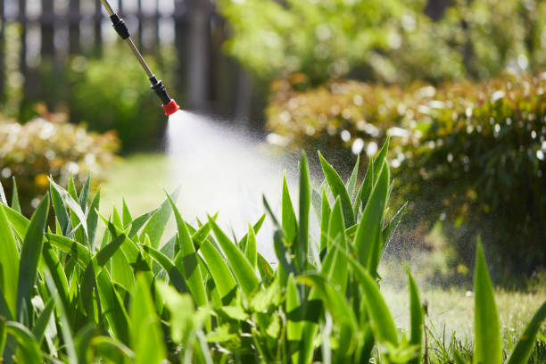 24/7 Emergency Cockroach Control experts in Oak View, CA